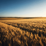 unnamed-file-257