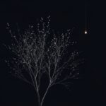 unnamed-file-73
